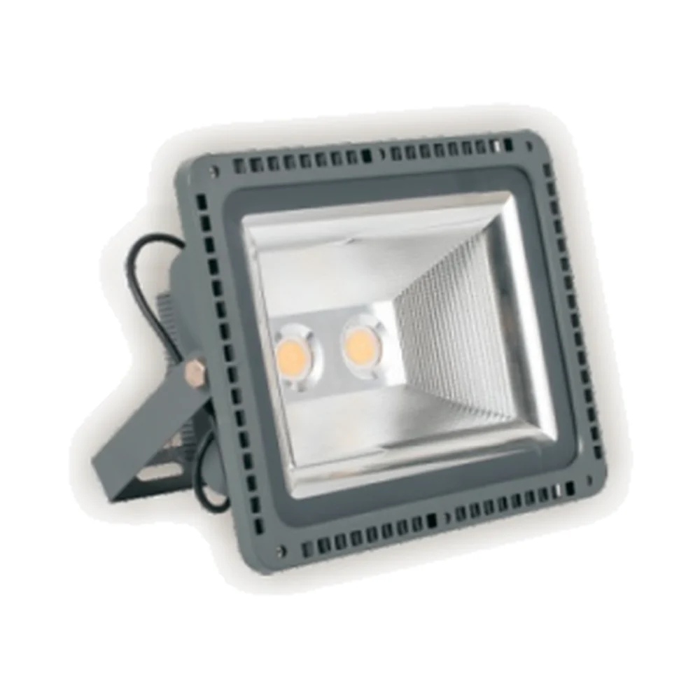 Enlight EN-P04 COB Floodlight — product photo